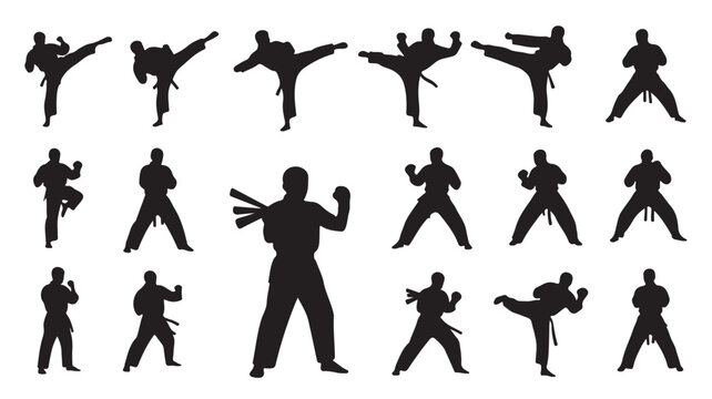 Martial arts silhouette collection, 17 karate fighter vector icons, black belt master poses for taekwondo and judo training graphics