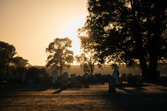 Serene cemetery at sunrise with silhouetted trees and tombstones casting long shadows