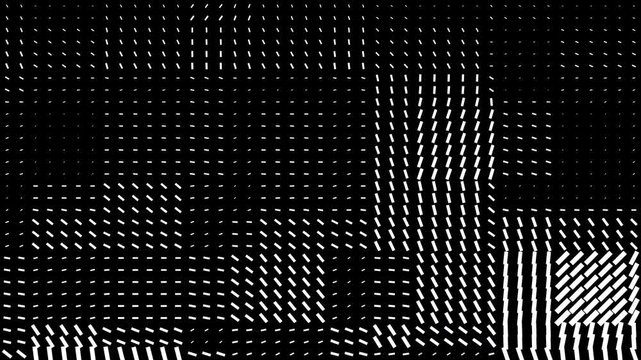 Black and white halftone pattern background.