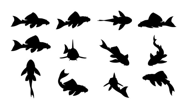 Diverse Fish Silhouettes Collection, Aquatic Animal Vector Icons, Underwater Life Graphics, Marine Creature Set for Design