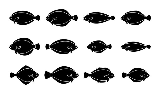 Flounder Fish Silhouettes Collection, Flat Vector Icons Set, Marine Life Aquatic Animal Graphics, Seafood Ingredient Illustrations