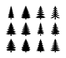 Obraz premium Set of 12 Black Silhouette Evergreen Trees, Pine Conifer Vector Icons for Winter, Forest, Nature Design Elements