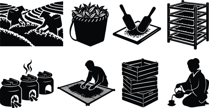 Collection of black silhouette icons illustrating traditional tea production, harvesting, processing, and tea ceremony
