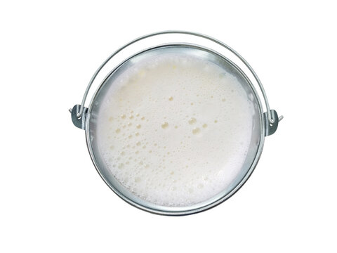 Fresh cow's milk is in an aluminum bucket, placed on a white background.