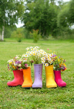 set of different colorful rubber boots with bright flower bouquets on lawn in garden, natural abstract background. symbol of summer, autumn season. rustic composition with seasonal garden flowers