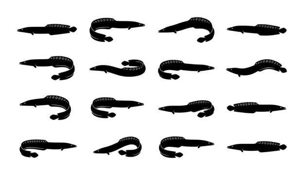 Black Silhouette Leeches, Medical Hirudinea Vector Icons Set, Parasite Bloodsucker Illustrations for Science and Healthcare