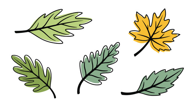 Set of five different autumn leaves in shades of green and yellow as a simple nature illustration for seasonal fall themed designs.