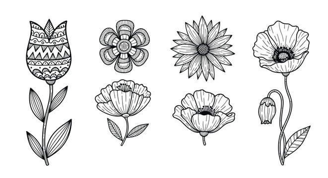 Beautiful assortment of ornamental flower designs in black ink line art featuring tulips and daisies for adult coloring or floral patterns.