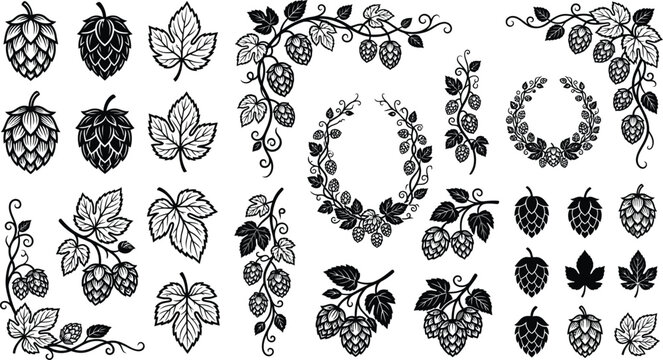 Vintage Hop Botanical Wreath Borders Decorative Elements Monochrome Vector Illustration Collection Set