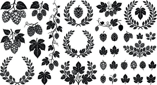 Hop Botanical Wreath Borders Decorative Elements Monochrome Vector Illustration Collection Design