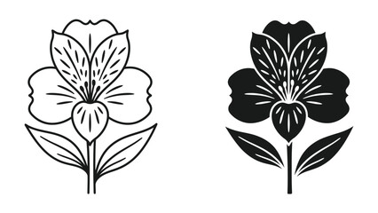Line Art Alstroemeria: A striking illustration of an Alstroemeria flower, presented in both outline and silhouette, showcasing its intricate petals and delicate stem. © hammad