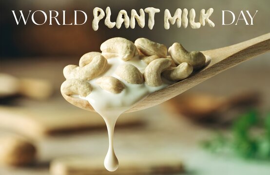 Cashew milk dripping from a wooden spoon for world plant milk day
