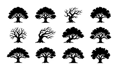 Diverse Silhouette Tree Collection, 12 Vector Icons for Nature and Seasons, Organic Woodland Elements © Rakib