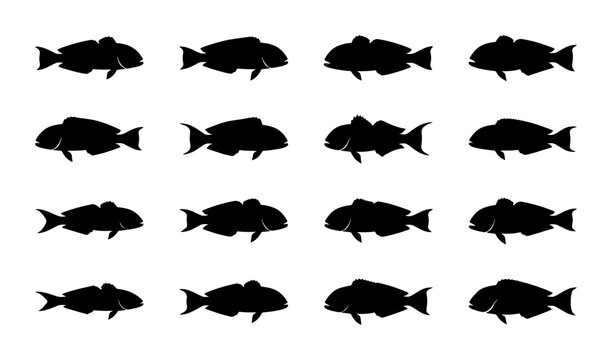 Silhouette Fish Collection, Aquatic Animal Icons, Marine Life Vector Graphics, Simple Black and White Seafood Graphics