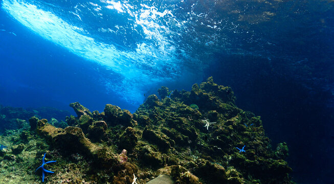 Dreamlike underwater photo - Beautiful underwater landscape and coral reef in rays of sunlight. 