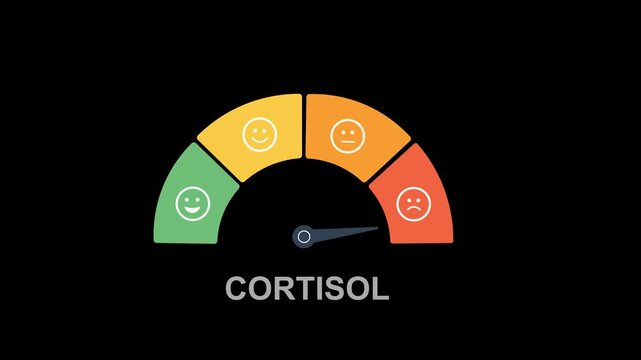Cortisol Stress Level Gauge Indicator Animation On Black Background. With Colorful Emotional Faces And Moving Needle.  Illustrating Hormone Balance, Anxiety, Mood, Pressure, And Mental Health Concepts