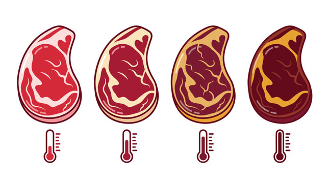 Set of four steak doneness levels with thermometer indicators, showing raw to well done beef meat temperature chart, cooking guide, food preparation