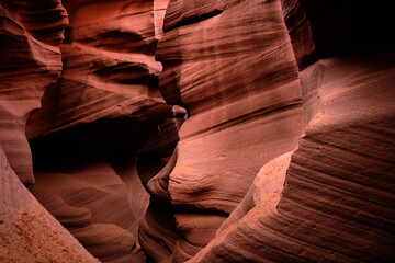 shaped by nature © Gabriele Rivolta