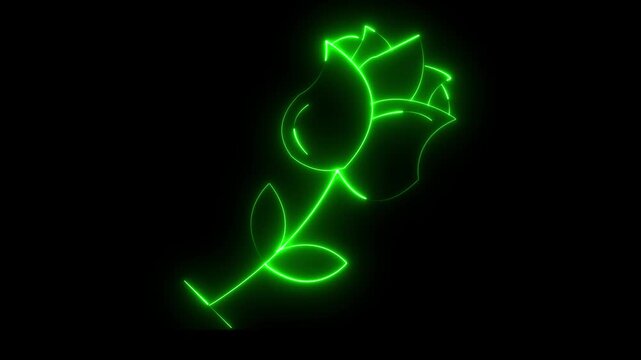 glowing neon rose icon isolated on black background. Flower animation. 4k video animation
