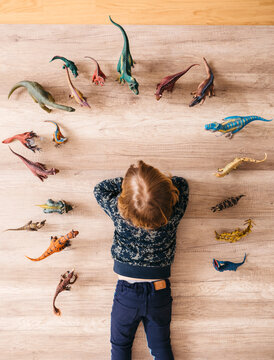 Little girl lying on the floor playing with toy dinosaurs around her, top view