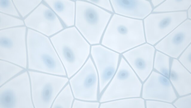 Abstract cellular structure with nuclei