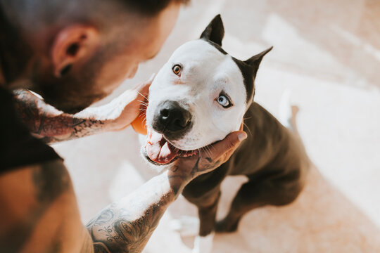 Man looking at dog sitting on floor