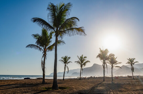 Oman, Dhofar, Salalah, Sun shining over palm trees on Mughsail Beach