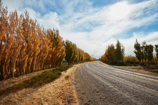 Argentina, Lago Posadas, gravel road with autumnal trees