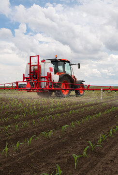 Tractor spraying young corn field with boom sprayer