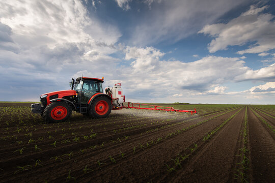 Agricultural sprayer applying crop protection on young corn field