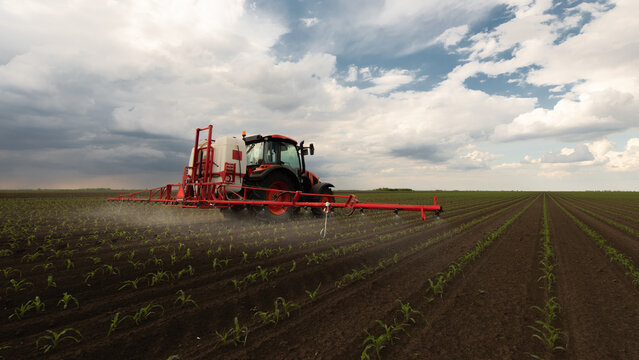 Agricultural sprayer applying crop protection on young corn field