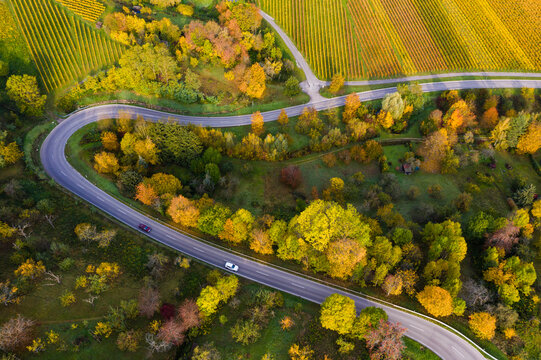 Aerial view of country road winding between autumn vineyards, Baden-Wurttemberg, Germany