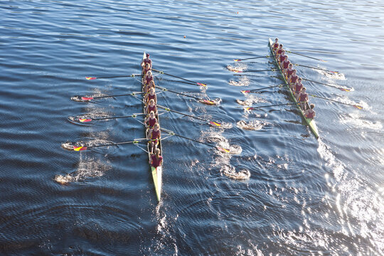 Elevated view of two rowing eights in water