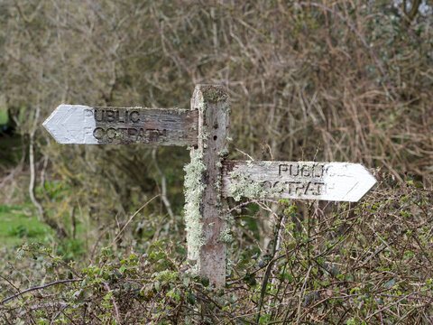Wooden Public Footpath signs with lichen and painted arrows in a hedgerow setting