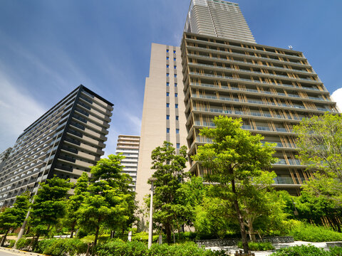 晴海フラッグの分譲タワーマンション街。東京都2026年6月、東京都中央区にて撮影。