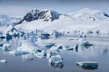 Obraz premium Natural scenery of snow-capped mountains and icebergs at the Portal point of the Antarctic Peninsula