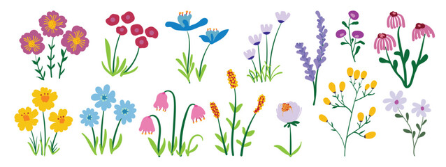 Fototapeta premium Cute wildflower floral element set vector. Hand drawn colorful meadow flowers, botanical spring and summer bloom collection. Minimal Scandinavian illustration for greeting cards, invitations, branding