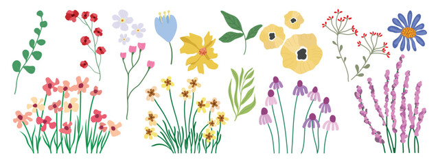 Cute wildflower floral element set vector. Hand drawn colorful meadow flowers, botanical spring and summer bloom collection. Minimal Scandinavian illustration for greeting cards, invitations, branding © TWINS DESIGN STUDIO
