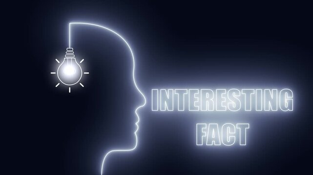Neon head silhouette with glowing bulb for interesting fact content and thought provoking educational youtube videos