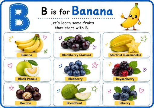 Educational alphabet poster for kids featuring fruits starting with the letter b like bananas, blackberries, and blueberries
