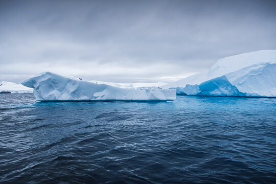 Natural Geographical Landscape of Sea Icebergs and Floating Ice in Wilhelmina Bay, Antarctica
