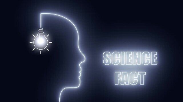 Neon head silhouette with glowing bulb for science fact content and academic research presentations in stem education