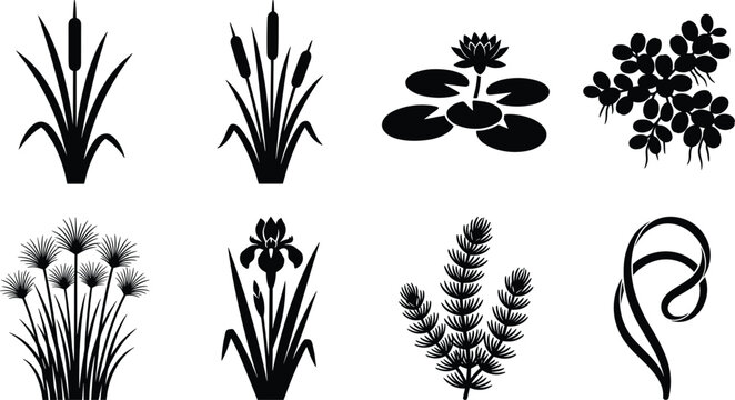 Set of black and white aquatic plant, pond flora, and water lily silhouettes for nature design projects