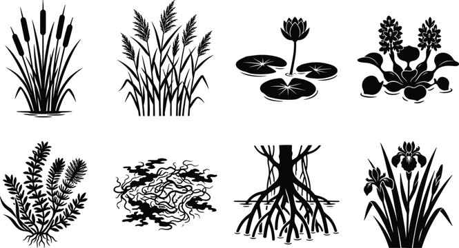 Set of black and white aquatic plant, wetland flora, and mangrove root silhouettes for nature design projects