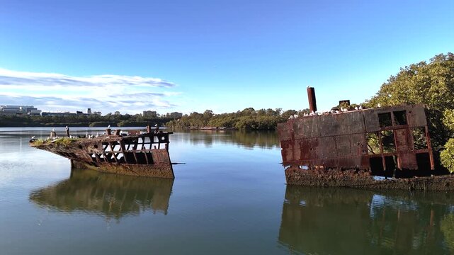 Shipwreck with forest growing out of its rusty hull on sunny day from aerial view. Wreck is located in Homebush Bay, Parramatta river, Sydney Australia. Camera flies between sections of broken ship.