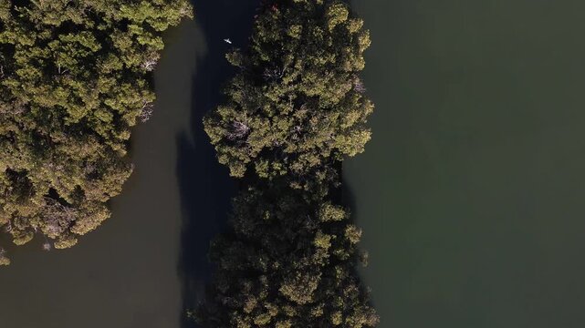 Shipwreck with forest growing out of its rusty hull on sunny day from top down aerial view. Wreck in located in Homebush Bay, Parramatta river, Sydney Australia. Camera tracks over broken ship.