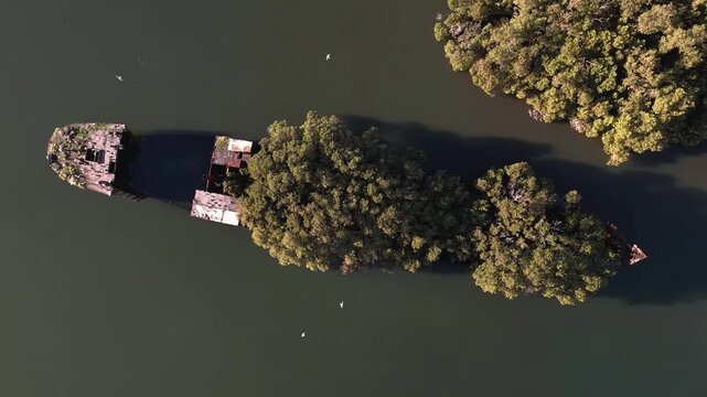 Shipwreck with forest growing out of its rusty hull on sunny day from top down aerial view. Wreck in located in Homebush Bay, Parramatta river, Sydney Australia. Camera rotates ccw over ship.