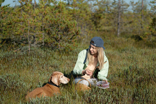 Cheerful woman forager with dog gathering wild berries and herbs at marshland in wild forest, positive female harvester sits on ground picking up edibles and interacting with pet, enjoys outdoor trip.