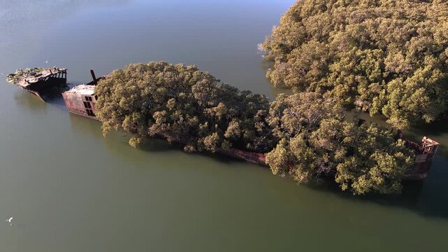 Shipwreck with forest growing out of its rusty hull on sunny day from aerial view. Wreck in located in Homebush Bay, Parramatta river, Sydney Australia. Camera orbits broken ship.