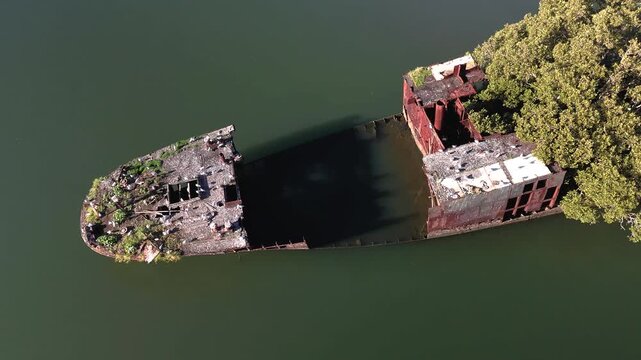 Shipwreck with forest growing out of its rusty hull on sunny day from aerial view. Wreck in located in Homebush Bay, Parramatta river, Sydney Australia. Camera orbits stern of broken ship.
